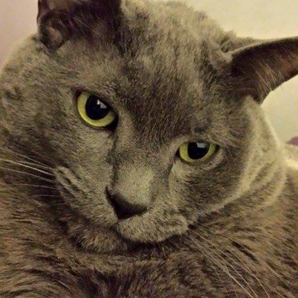 Meet your Posher, Barbara. - Picture 5 of 9